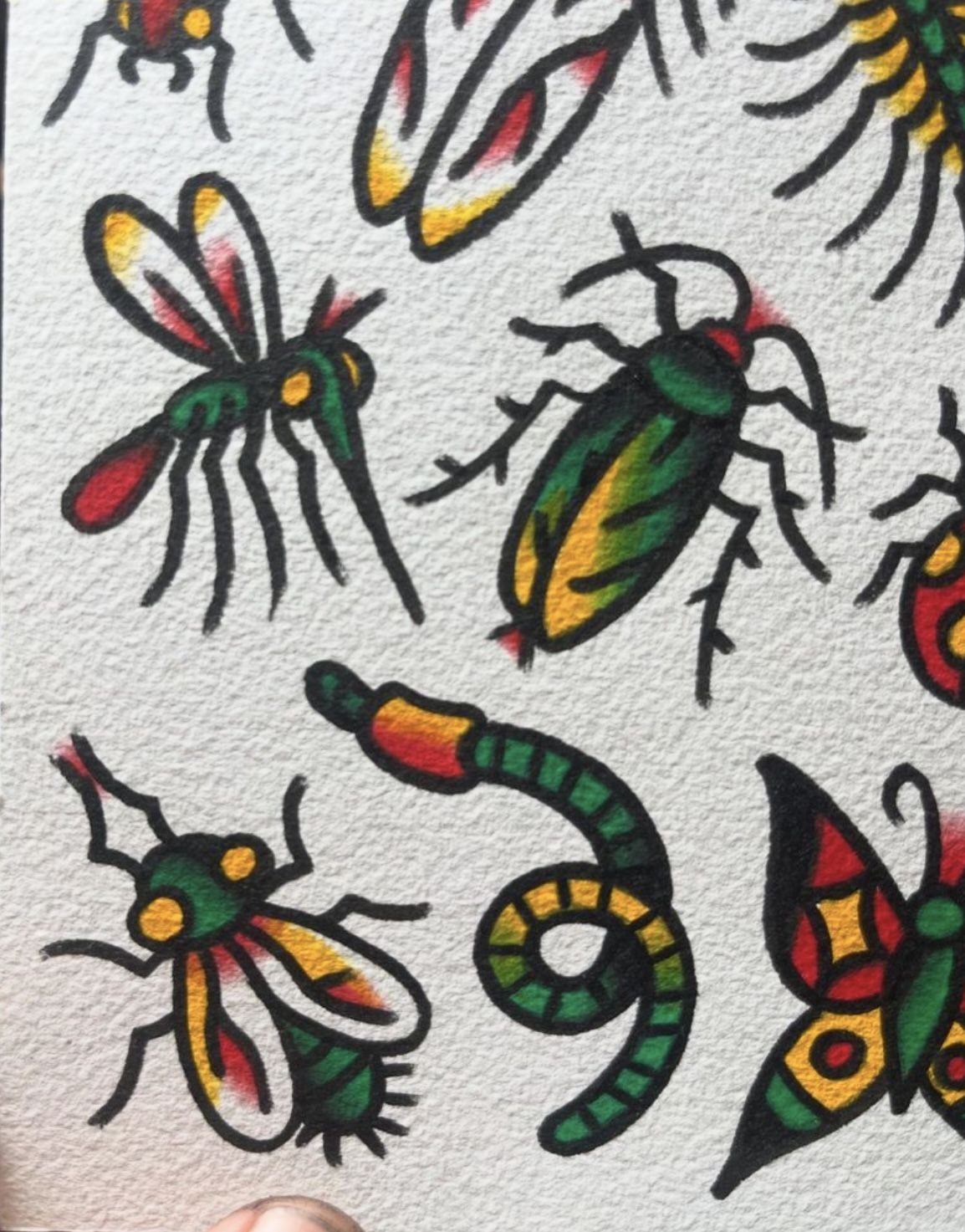 Traditional tattoo flash drawings of various colorful insects on white paper.