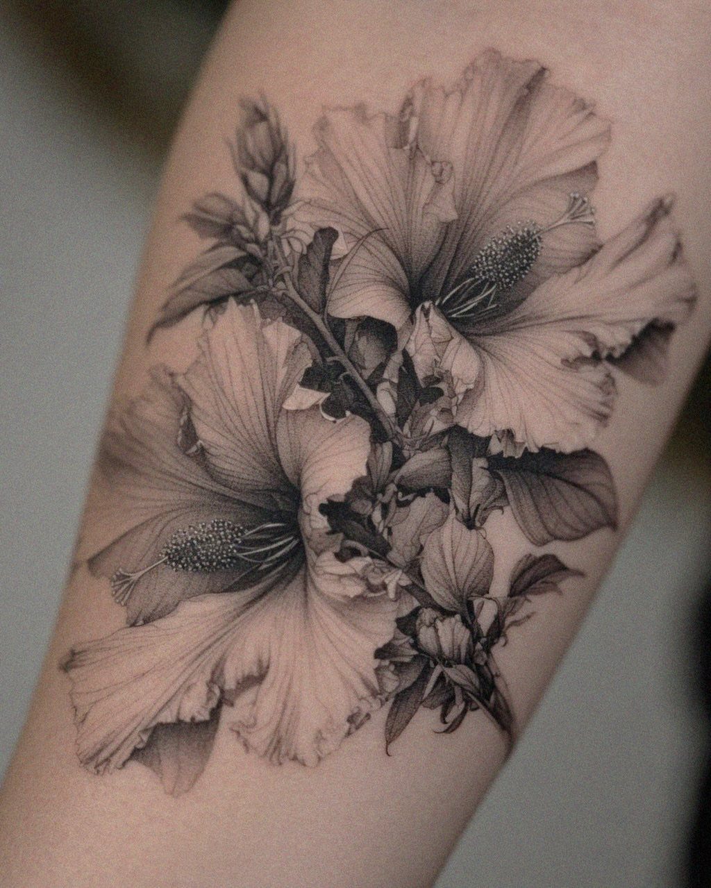 Black and grey hibiscus flower tattoo with detailed shading on a person's arm.