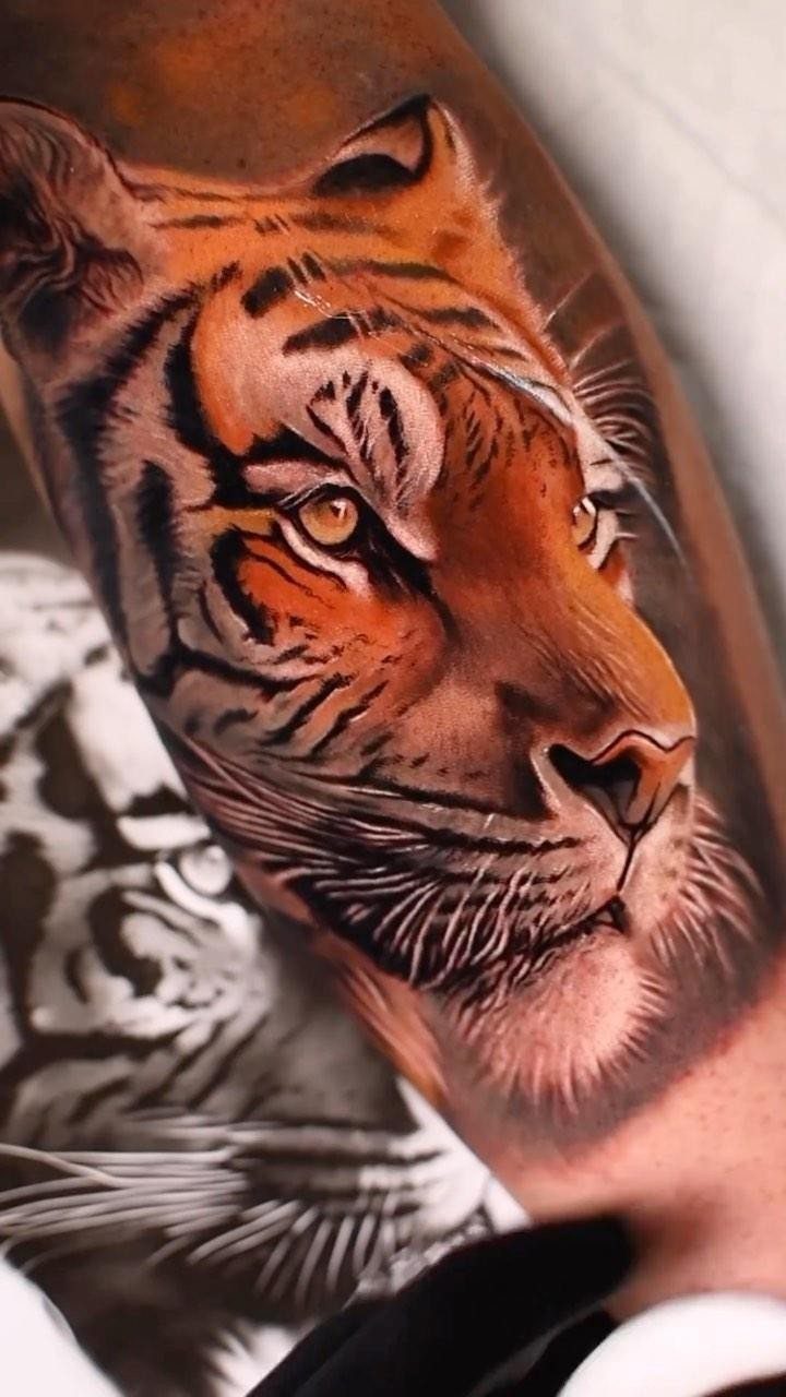 8 Color Tattoo Ideas for Men: Comic, Dragon & Watercolor 6 A realistic color tattoo of a tiger's face with detailed orange and black fur patterns.