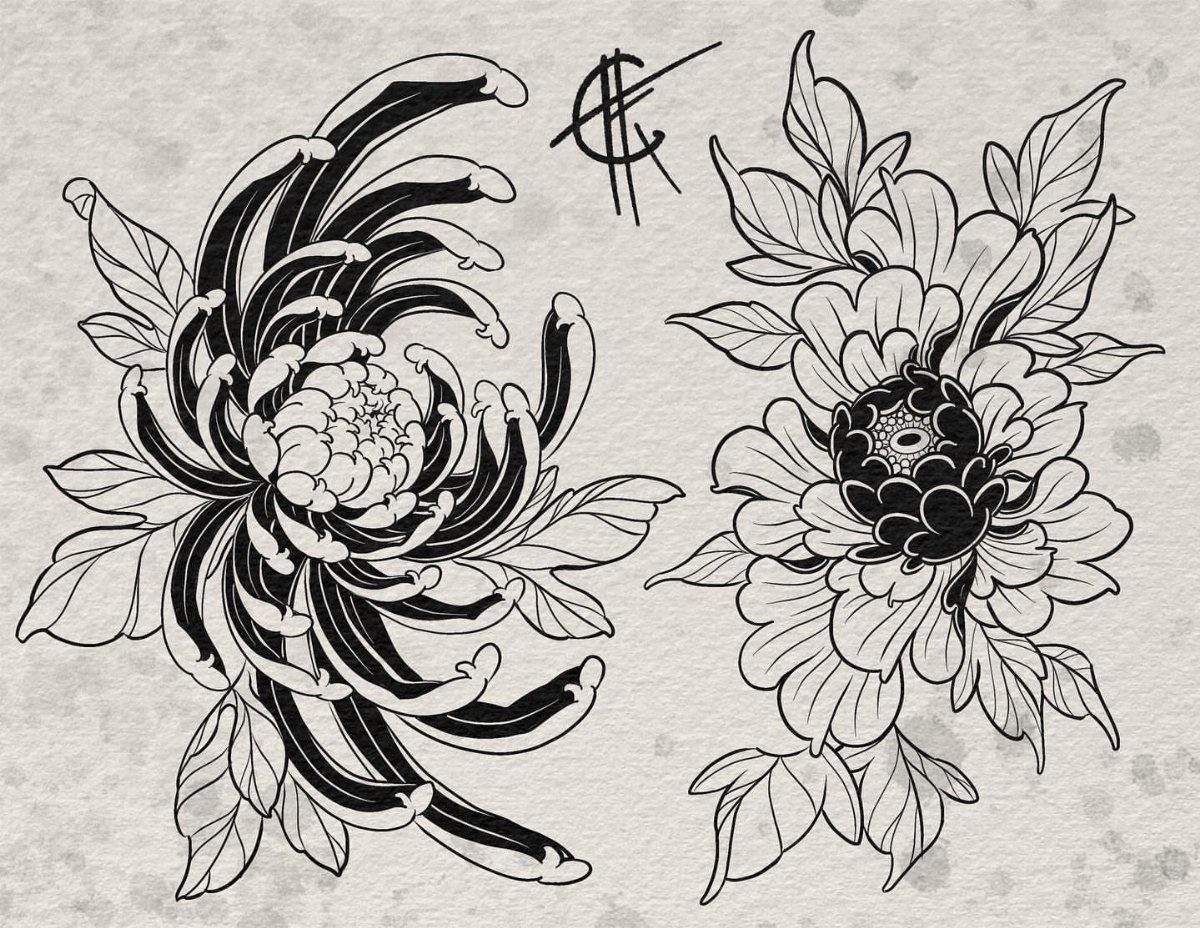 Two detailed black and white chrysanthemum floral tattoo designs on textured paper.
