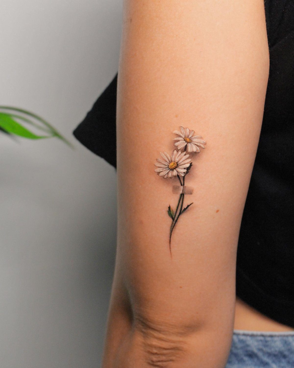 A realistic daisy flower tattoo with white petals and green stems on a person's arm.