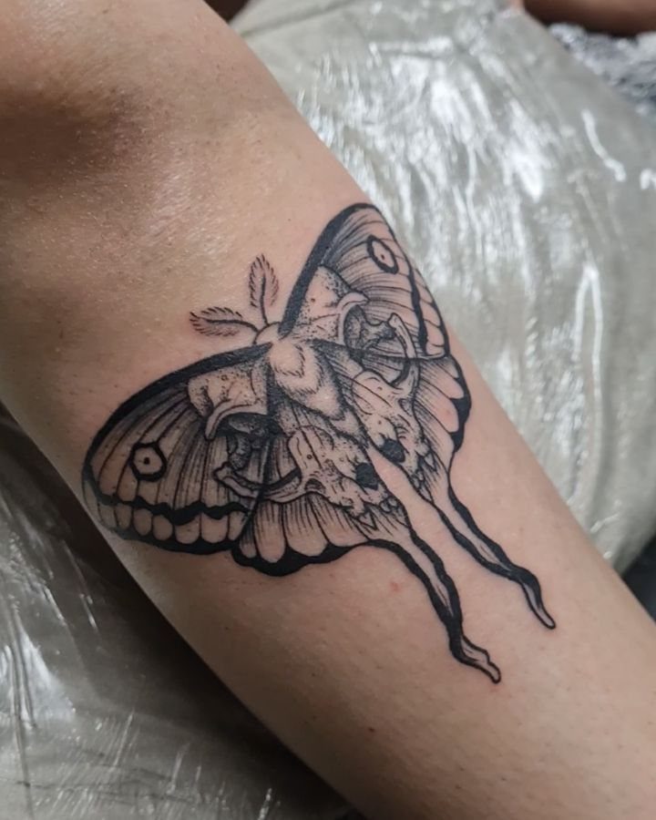 A black ink moth tattoo with detailed wing patterns on a person's arm.