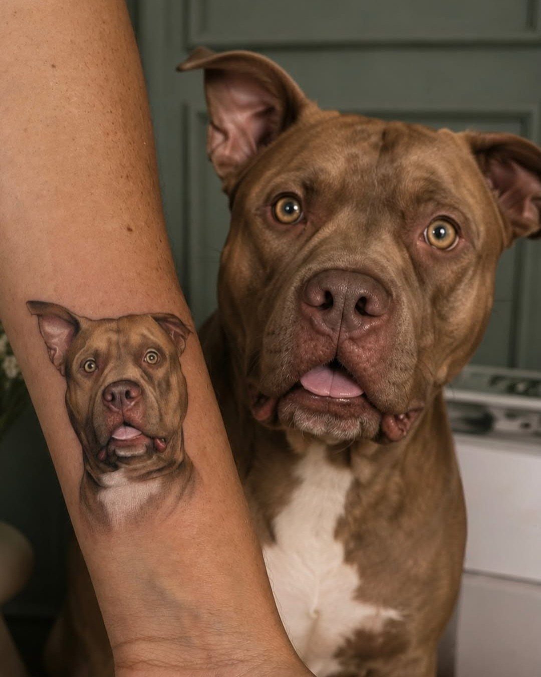 A realistic dog portrait tattoo on a person's arm next to the actual dog.